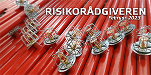 Risikorådgiveren #2