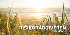 Risikorådgiveren #6