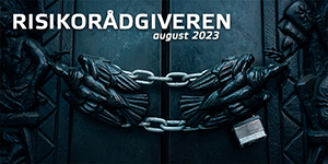 Risikorådgiveren #7