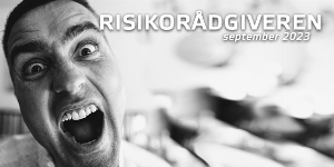 Risikorådgiveren #8