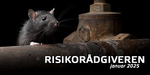 Risikorådgiveren #1