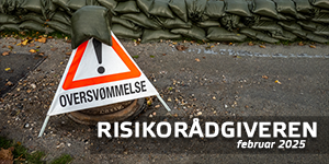 Risikorådgiveren #2