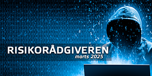 Risikorådgiveren #3