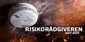 Risikorådgiveren #4